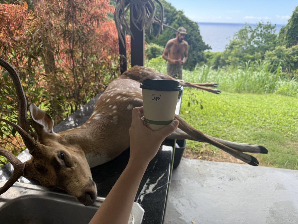 sighswoon's tweet image. Bf went off Hunting before dawn.  I just woke up to a big buck he got to feed us , as well as a cappuccino he picked up for me in town on the way home.  I feel the full spectrum of human in this moment