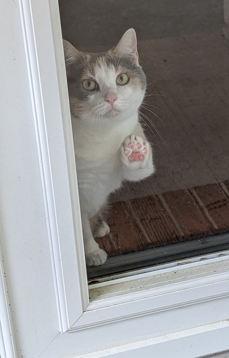 Please,.. let a Skootie Bootie come outside with yu,..