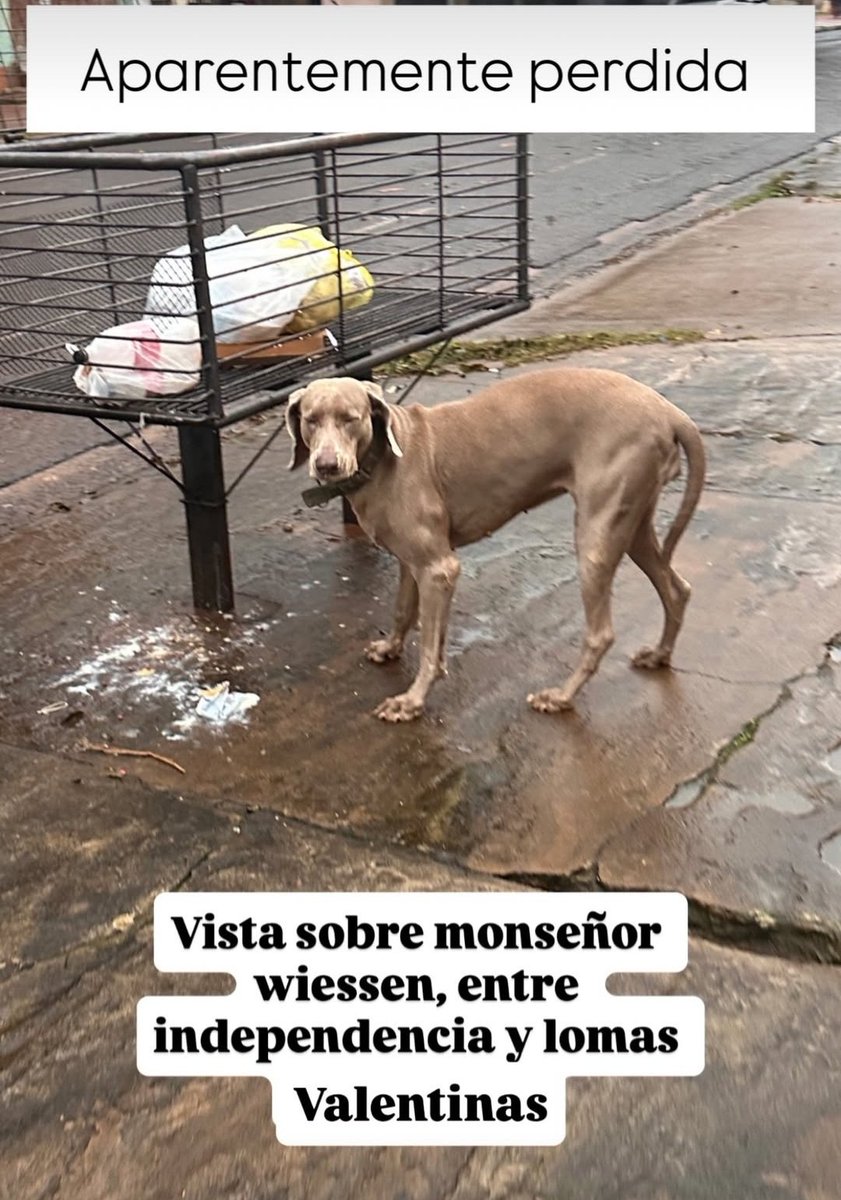 Por favor comparti hasta que vuelva con su Familia