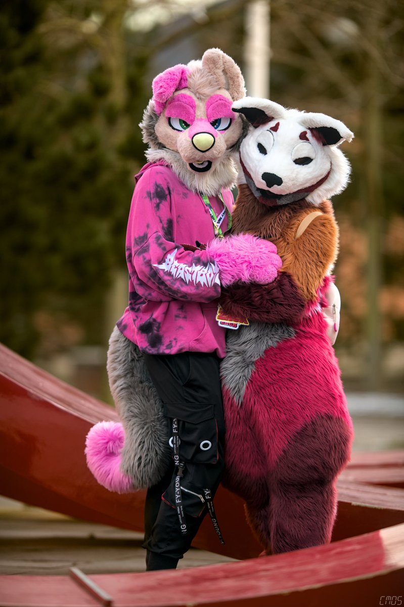 Cutest kitty of them all💖

📸: <a href="/Cmos_ThunderFox/">Cmos ThunderFox</a>