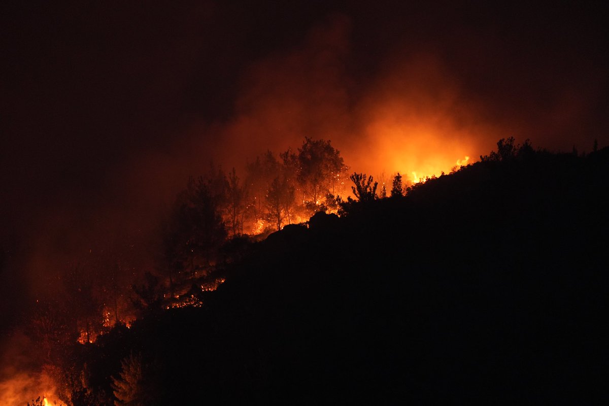 İzmir bizim nefesimiz, umudumuz, geleceğimiz… Şehrimizi korumak için mücadele ediyoruz.

En büyük önceliğimiz, yangının bir an önce kontrol altına alınmasıdır.

Tüm olumsuzluklara rağmen durmaksızın çalışan orman kahramanlarımız, Allah yardımcınız olsun.