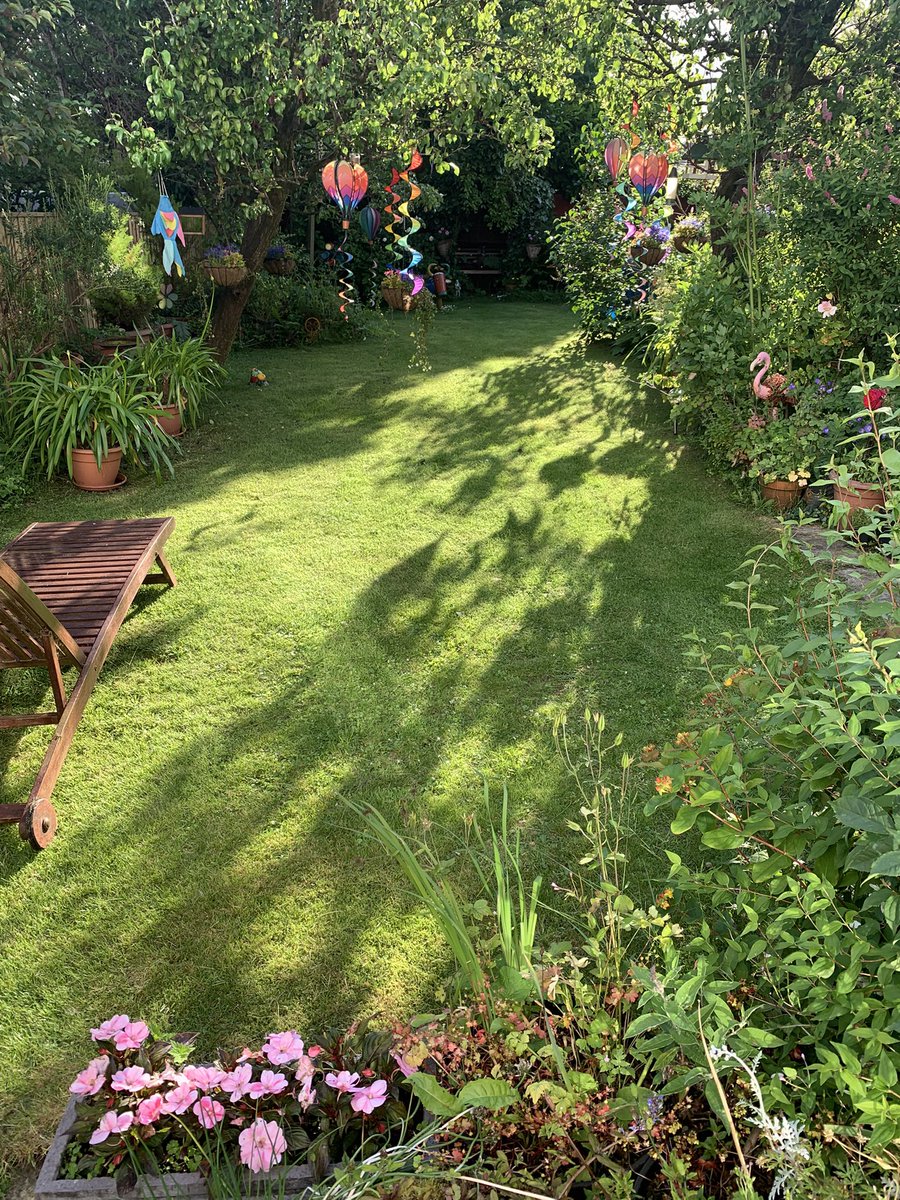 Mark Shephard 🏳️‍🌈 tweet media