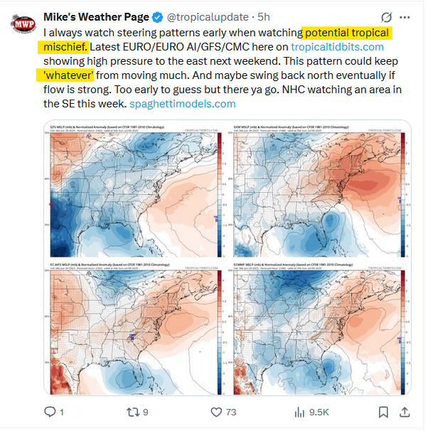 Sue Pear tweet media