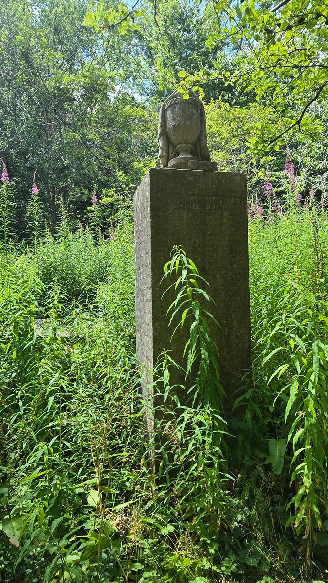 A huge stand of Rosebay Willowherb behind and over some of the graves in Highgate Cemetery.