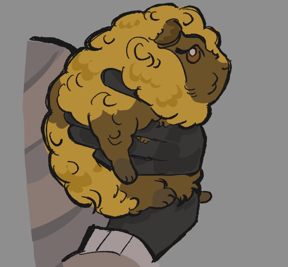 timelypuppy's tweet image. .87