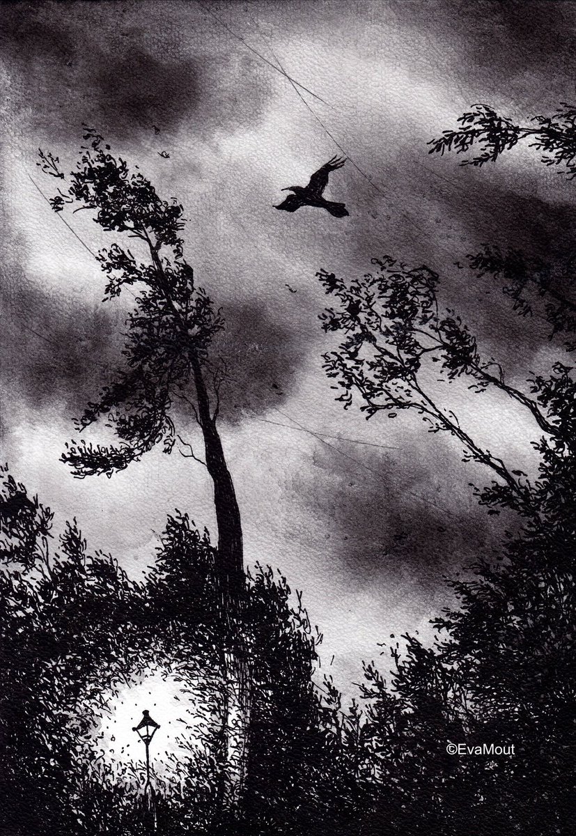 ‘Eye of the Storm’
Ink on paper, A4
Available as original, print or for publishing rights
ursusart.studio