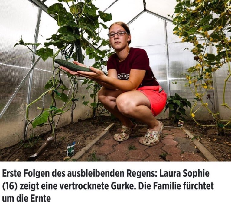Was Laura Sophie nicht ahnt: Gießen beziehungsweise Wässern hätte geholfen und die Gurken gerettet. 🥳