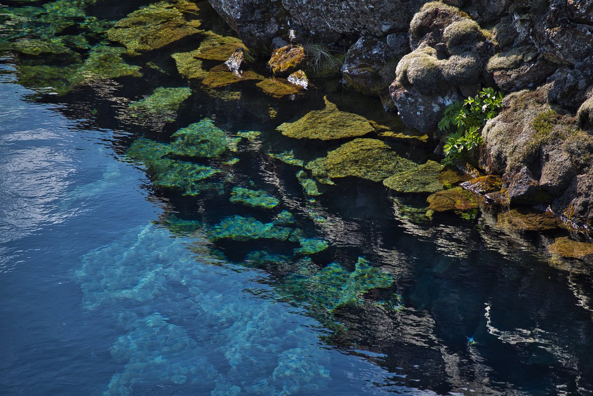 magsm7's tweet photo. #islande #sifra https://t.co/8tMyVtcRYH