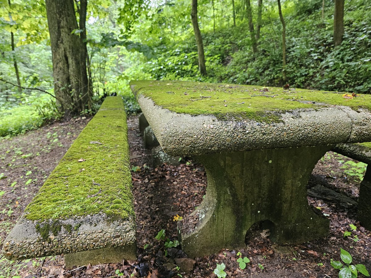 Bryan Wright tweet media