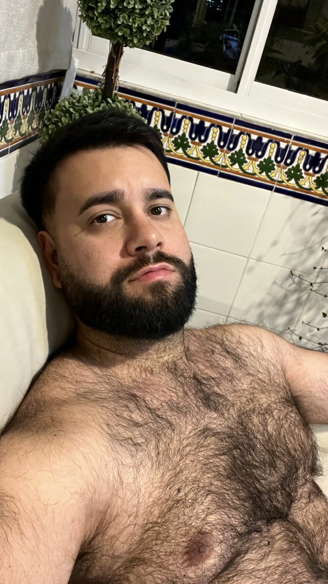 El Bearcito (@luisporta01) on Twitter photo 