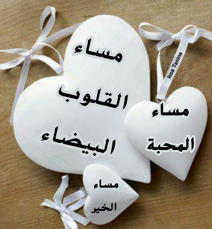 <a href="/jiiiijp/">🪷رﭸيَقٌ آلُآيَمْآنْ🪷</a> وأنت يالغاليه الأجمل والاروع وأنيقة بكلامك وتعامله ربنايحفظك