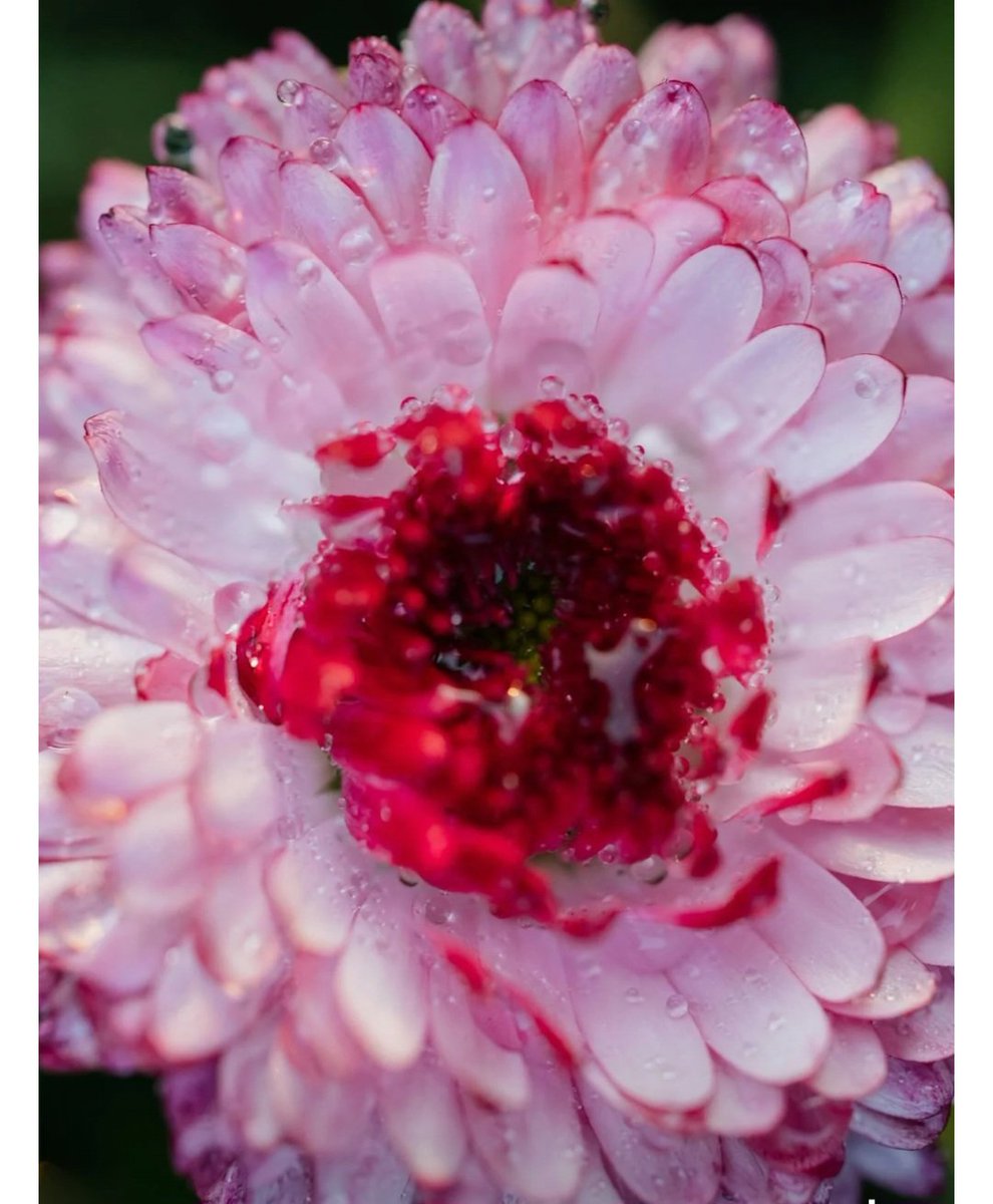 محمود المصرى (@mhmwd_alms21629) on Twitter photo 