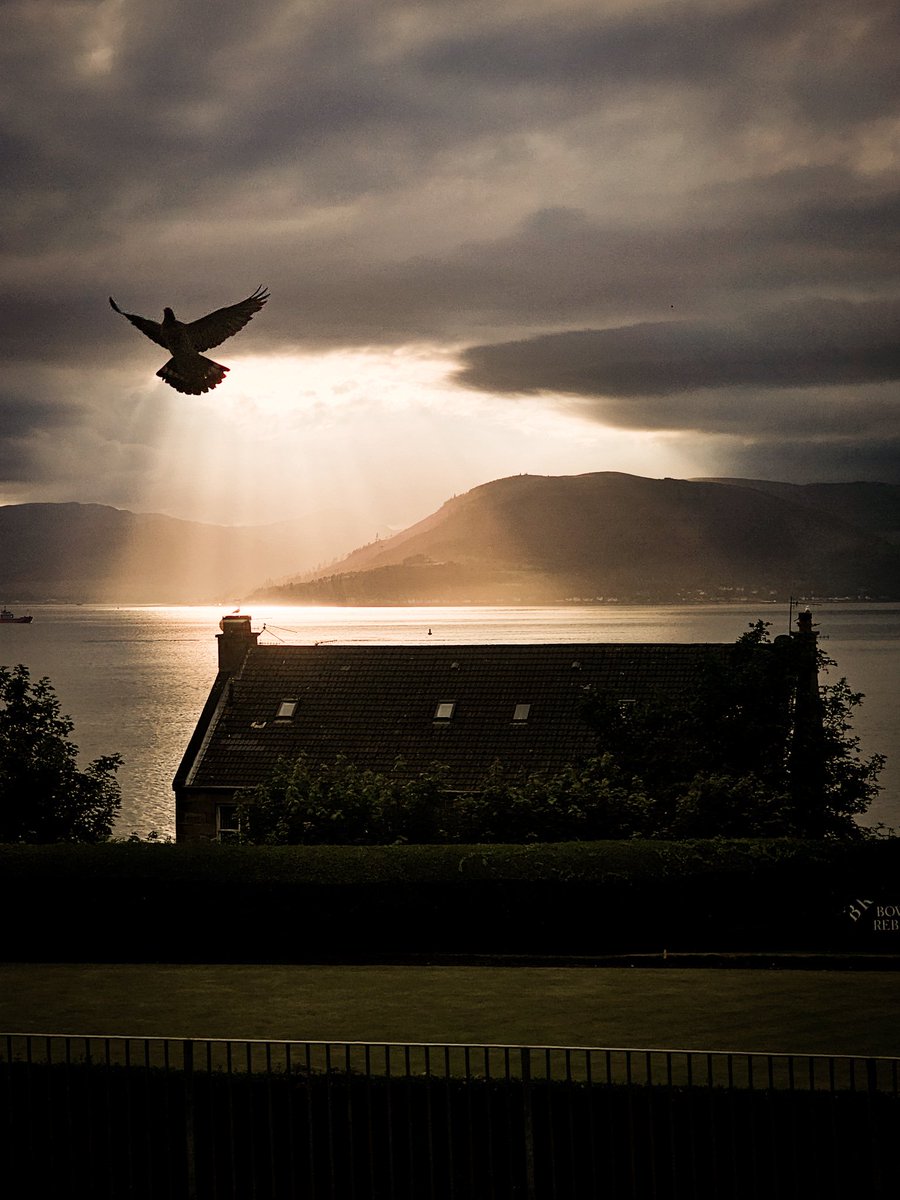 When you're taking a sunset shot and a pigeon flies on the lamppost outside your house!

I really like this.

#Sunset #PhotoBombPigeon #FirthOfClyde #Dunoon #HillsofArgyll #Scotland