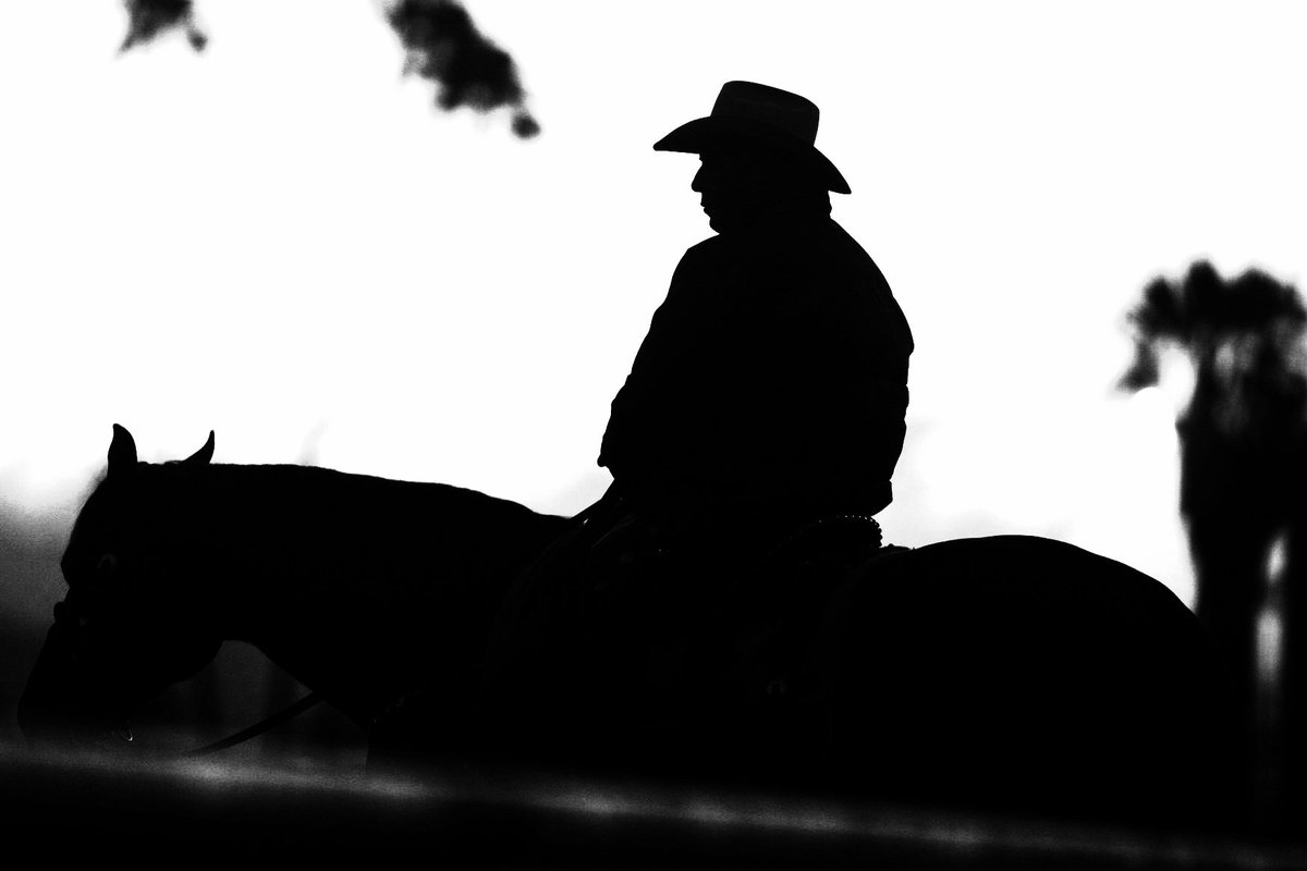 Thank you, D. Wayne Lukas. Thanks for teaching us to live our lives with immense passion for what we do, whatever that may be, and incredible vigor with how we do it. Age is only but a number. What an incredible life and career you created. Remarkable in so many ways. 

#TheCoach