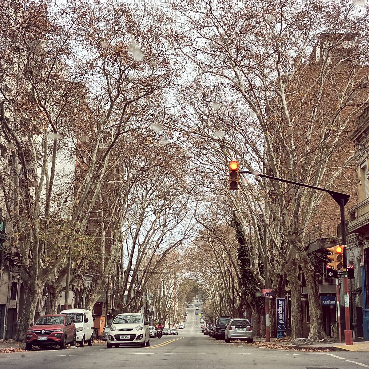 #Montevideo 
Lluvia y frío ☔️