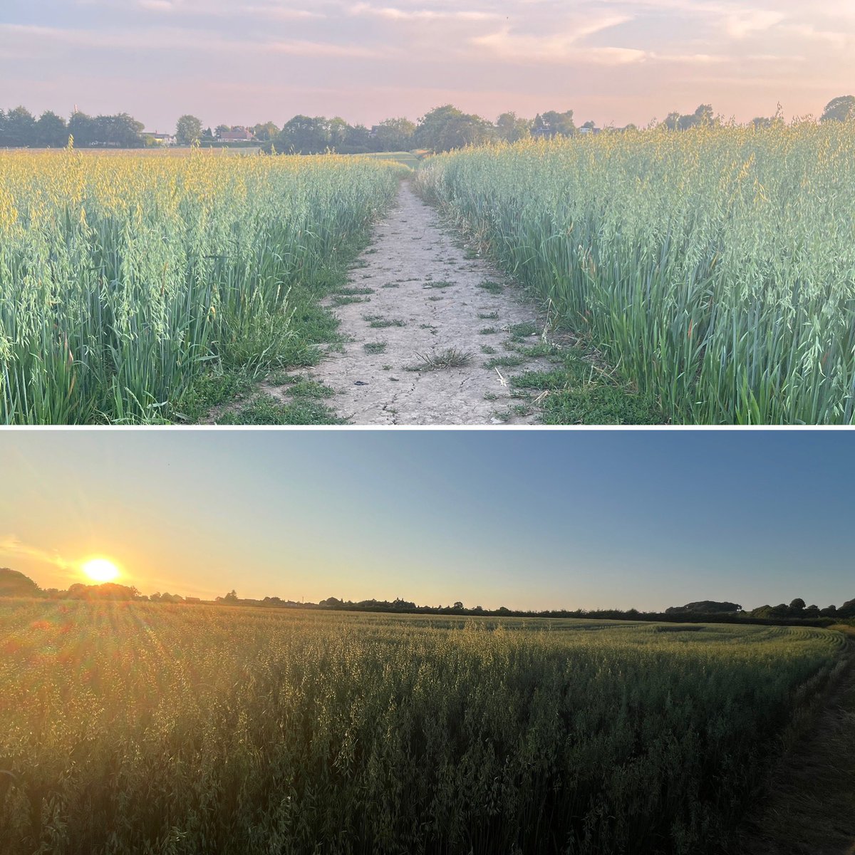 Nicole Atkinson (@nicolesatkinson) on Twitter photo #NHS1000miles - not many miles this week as been busy but local trails are still looking lovely
Shout out to my fellow <a href="/ncitycare/">Nottingham CityCare</a> runners who let me join them for a run at the Monday night CityCare run club - great group of people who are keen to support others to take part 🏃🏼♀️ #NHS1000miles - not many miles this week as been busy but local trails are still looking lovely
Shout out to my fellow <a href="/ncitycare/">Nottingham CityCare</a> runners who let me join them for a run at the Monday night CityCare run club - great group of people who are keen to support others to take part 🏃🏼♀️