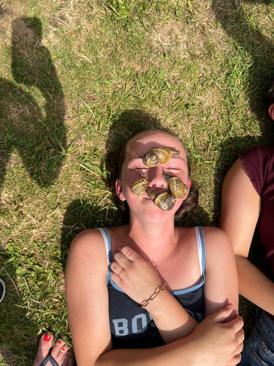 Clevedon Languages tweet media