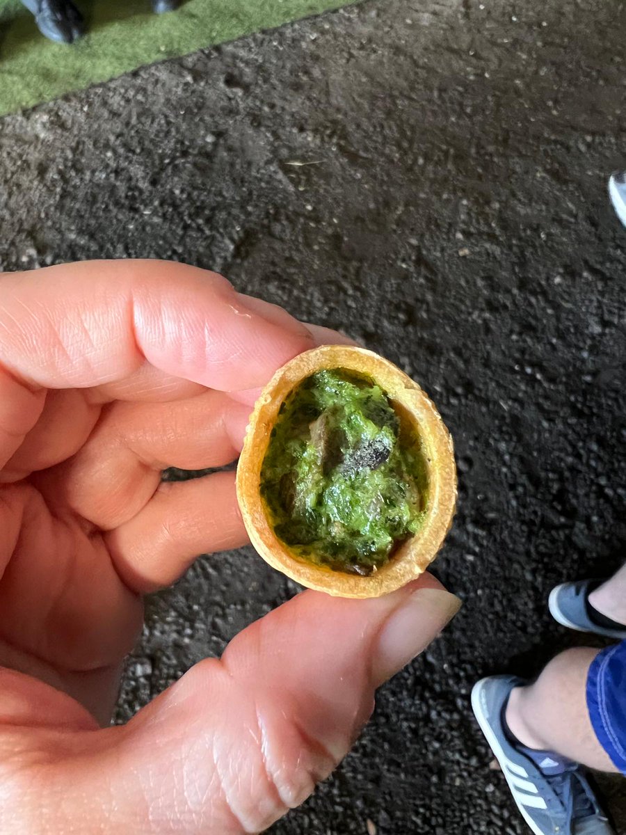 Day 3... 🐌🐌🐌 <a href="/ClevedonDT/">ClevedonDT</a> <a href="/NSTSchoolTrips/">NSTSchoolTrips</a>