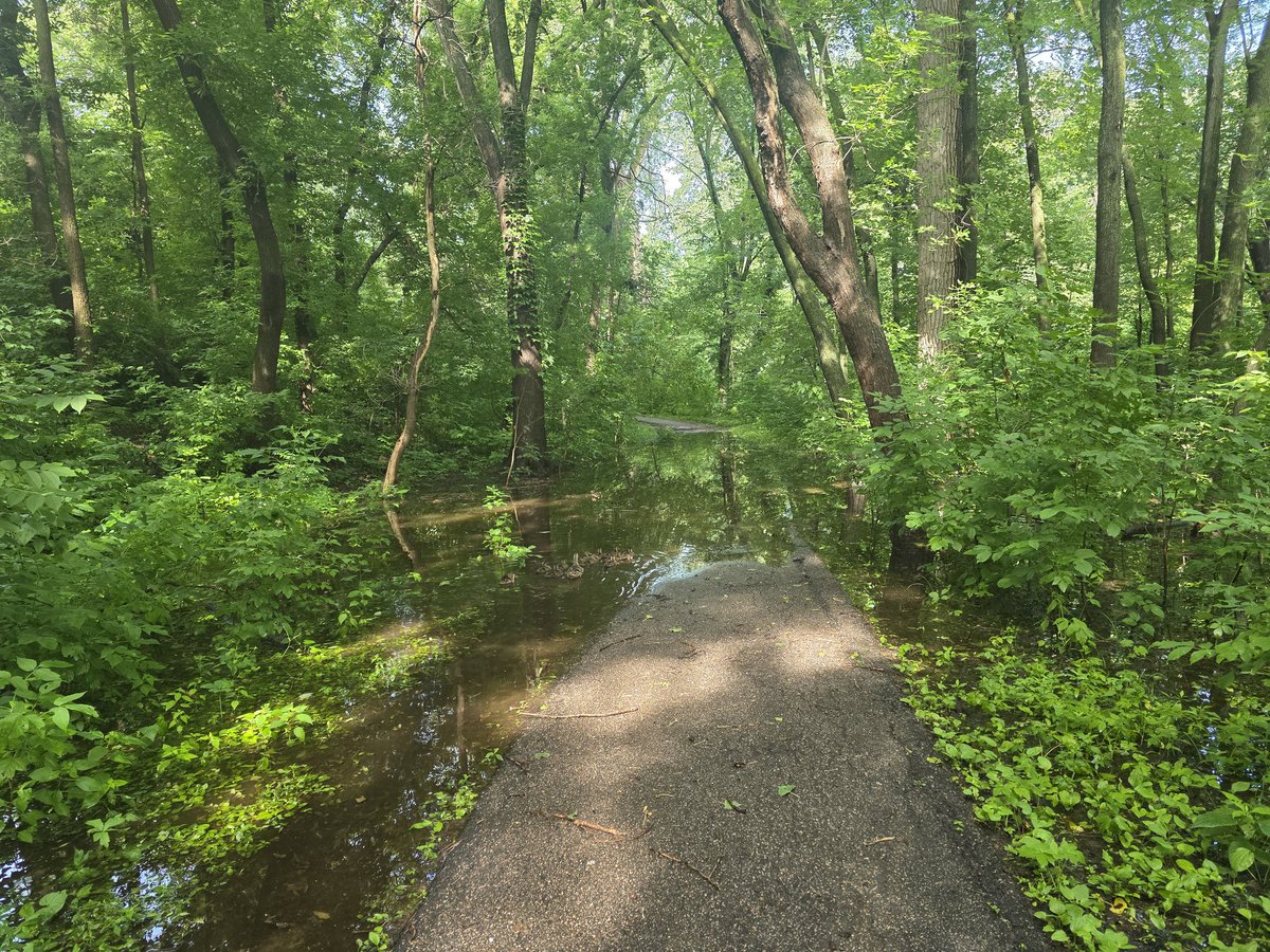 Happy Sunday Runday!  The copious amount of rain has the creek over it's bank and flooding the path.  Some created a detour, some you just plow through!