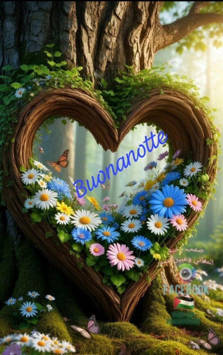 RITABIANCHi56 tweet media