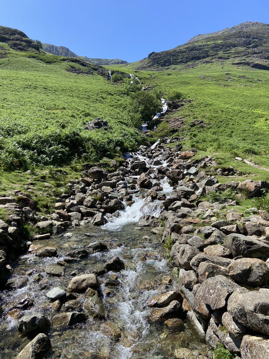 Tom Banks tweet media