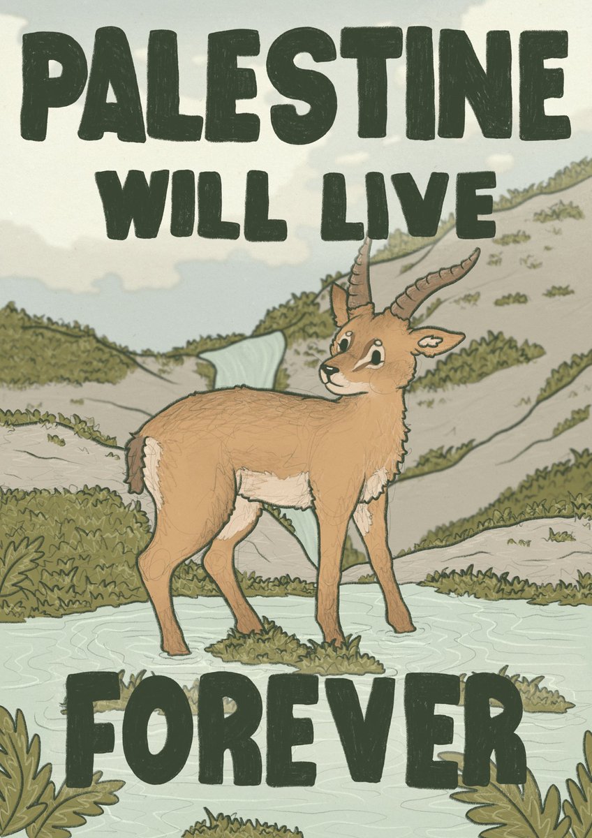 from the sea to the river 🇵🇸