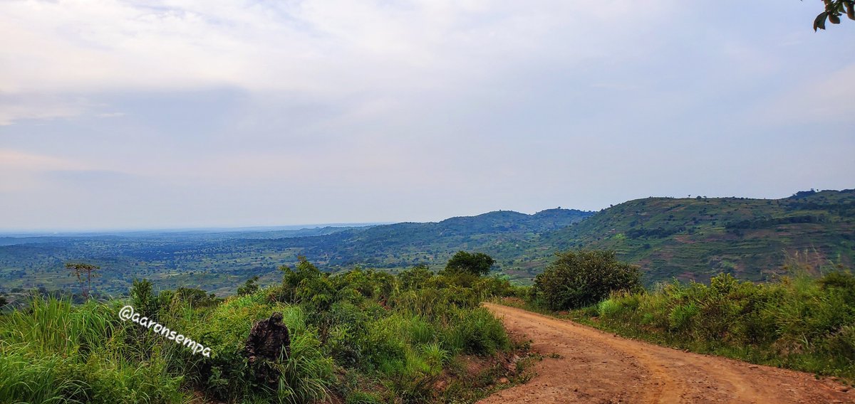 Aaron Kitratius Sempa tweet media