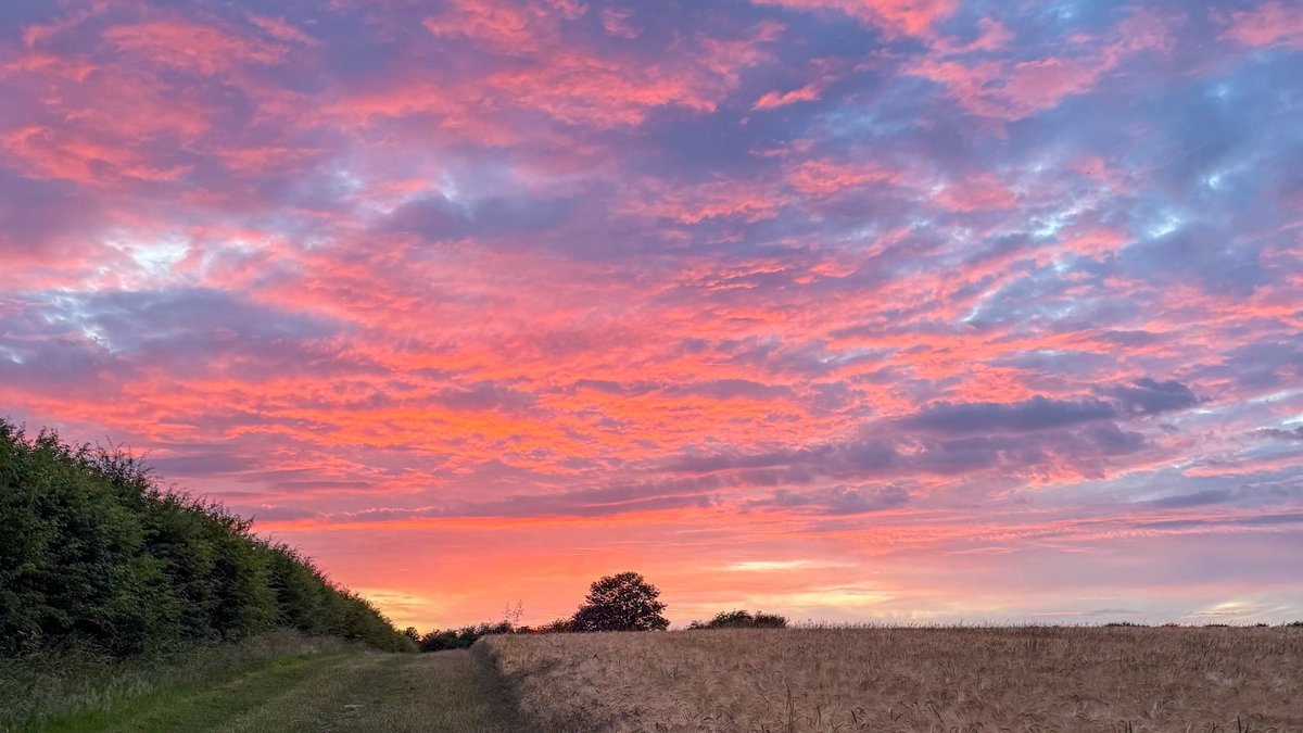 markswalking tweet media