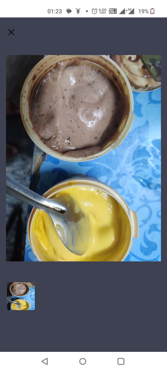 Avoid <a href="/Swiggy/">Swiggy</a> and <a href="/SwiggyInstamart/">Guess Who?</a> ‼️

Ordered at midnight, received damaged, leaking, stinking items.
Ice cream was liquid, everything smashed and spoiled.