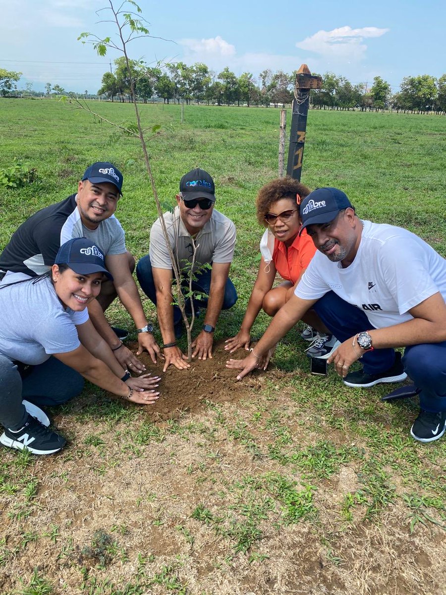 CADA ARBOL QUE SEMBREMOS, VEMOS CRECER LA ESPERANZA Y LA FE QUE NOS CONLLEVE A LA LIBERTAD: “ARNOLD CODECHOCO Y EL SECTOR AMBIENTE, SU FAMILIA Y TUS AMIGOS INCONDICIONAL, CELEBRAMOS EL FRUTO DE DICHA SIEMBRA: “LA LIBERTAD”.