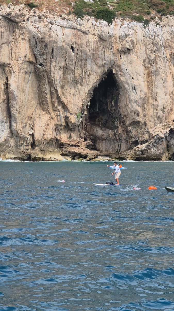 Charles Harrison tweet media