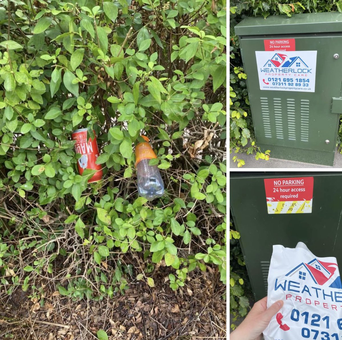 sabrown134's tweet photo. 29th June - sad to see these items ‘littered’ in the hedge (in the Railway Garden) especially when the bin was the other side of the bench 🤷🏼♀️🤦🏼♀️ on morning #sniffari 🙁 @pawsonplastic 🐾
Then spotted another ‘illegal’ #flypost (on Roman Way) now removed (easily peeled off) and ⬇️ https://t.co/JmJdeYQOcU