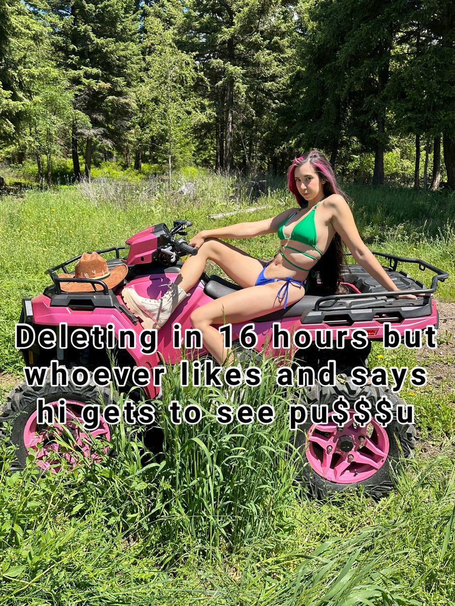 MistyRay tweet media
