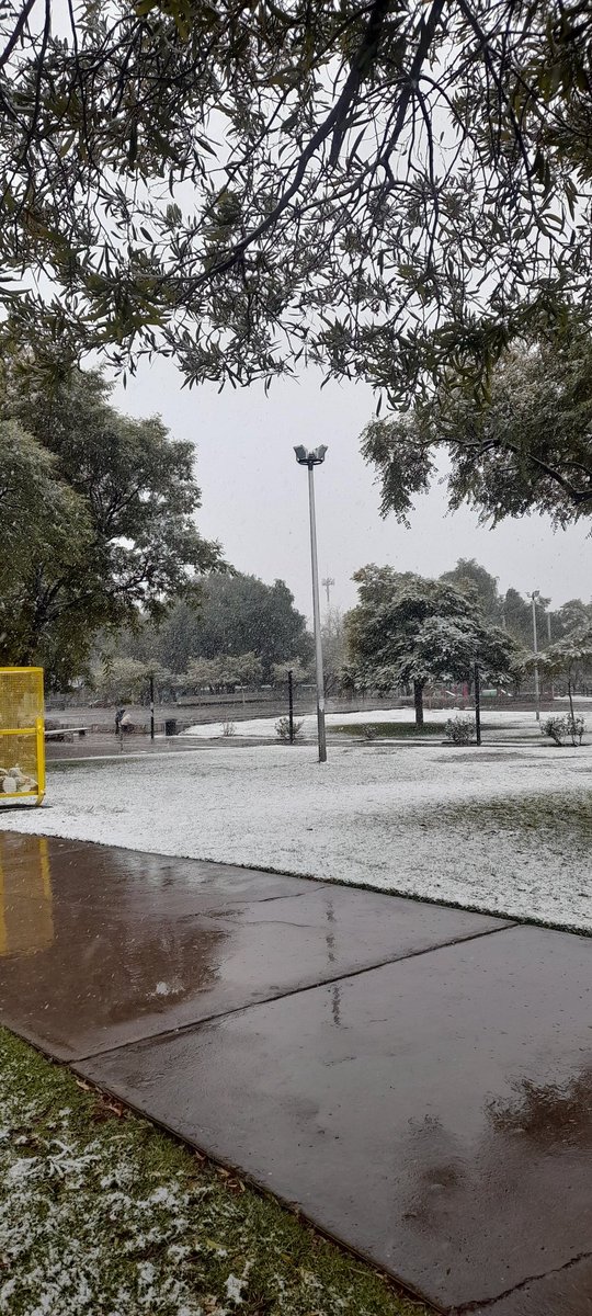 AugustoDubuc's tweet photo. @todonoticias en la mañana y sigue en la tarde, Mendoza Capital, parque central https://t.co/FOKzm4LS0u