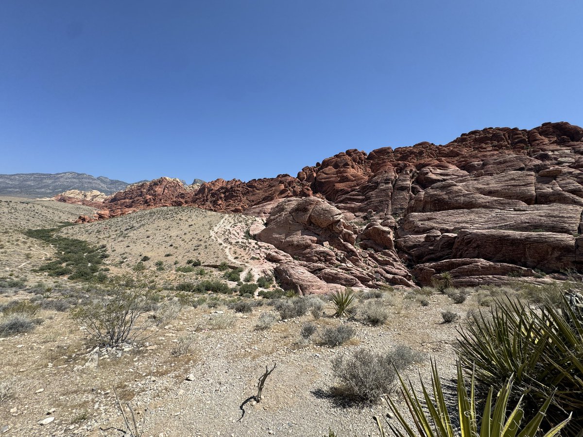 pendlamanda_art's tweet photo. A nice change of scenery while visiting LV, Nevada. 
Red Rock Canyon @ Icebox Canyon https://t.co/XY1zVOD8Fn