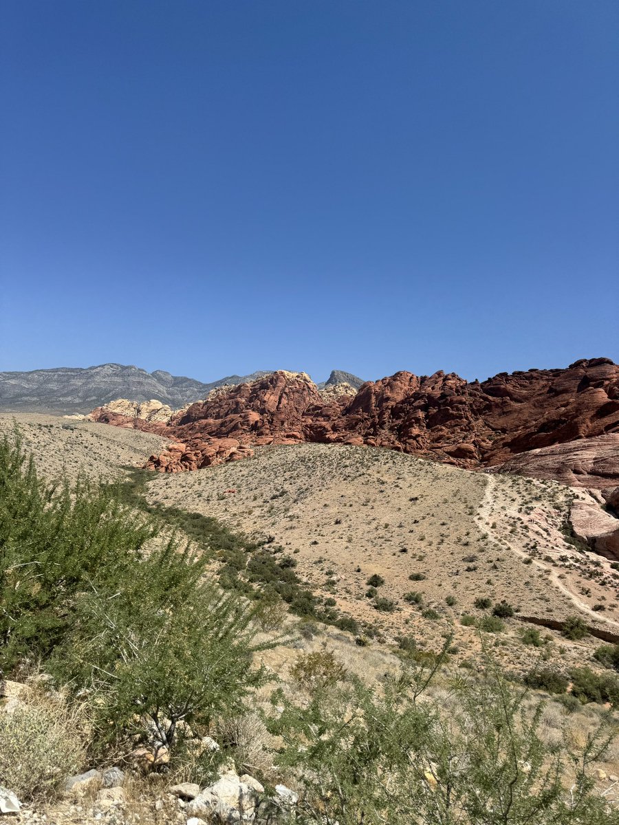 pendlamanda_art's tweet photo. A nice change of scenery while visiting LV, Nevada. 
Red Rock Canyon @ Icebox Canyon https://t.co/XY1zVOD8Fn