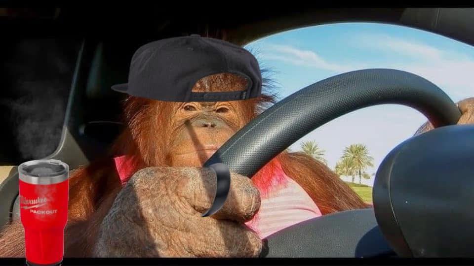 NoSoyMickey's tweet photo. Yo castigándome sin música después de casi salirme de la carretera. https://t.co/zQfz5uZYho