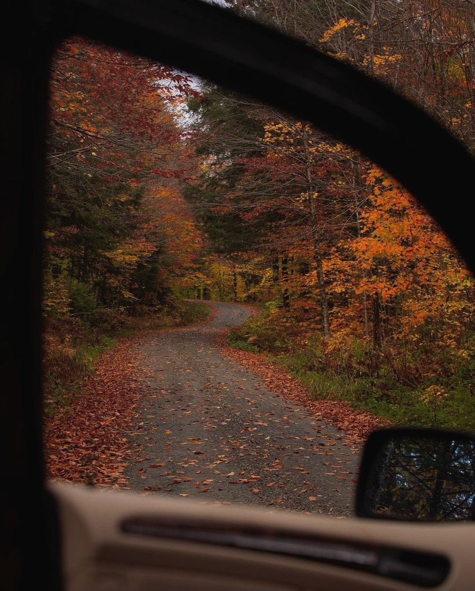 thespookygirll's tweet photo. this 🍂🍁 https://t.co/c26CdN6FLr