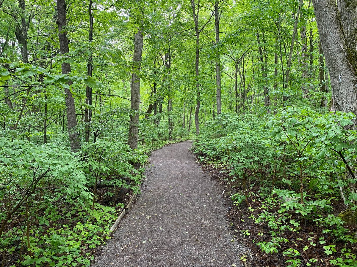 Manitoulin Island, nestled between Lake Huron and Georgian Bay, is the world's largest freshwater island. This Ontario gem is home to waterfalls, beaches, forests, quaint towns, historic sites, and vibrant Indigenous communities.
📍Manitoulin Island, ON
📅June, 2024
📸