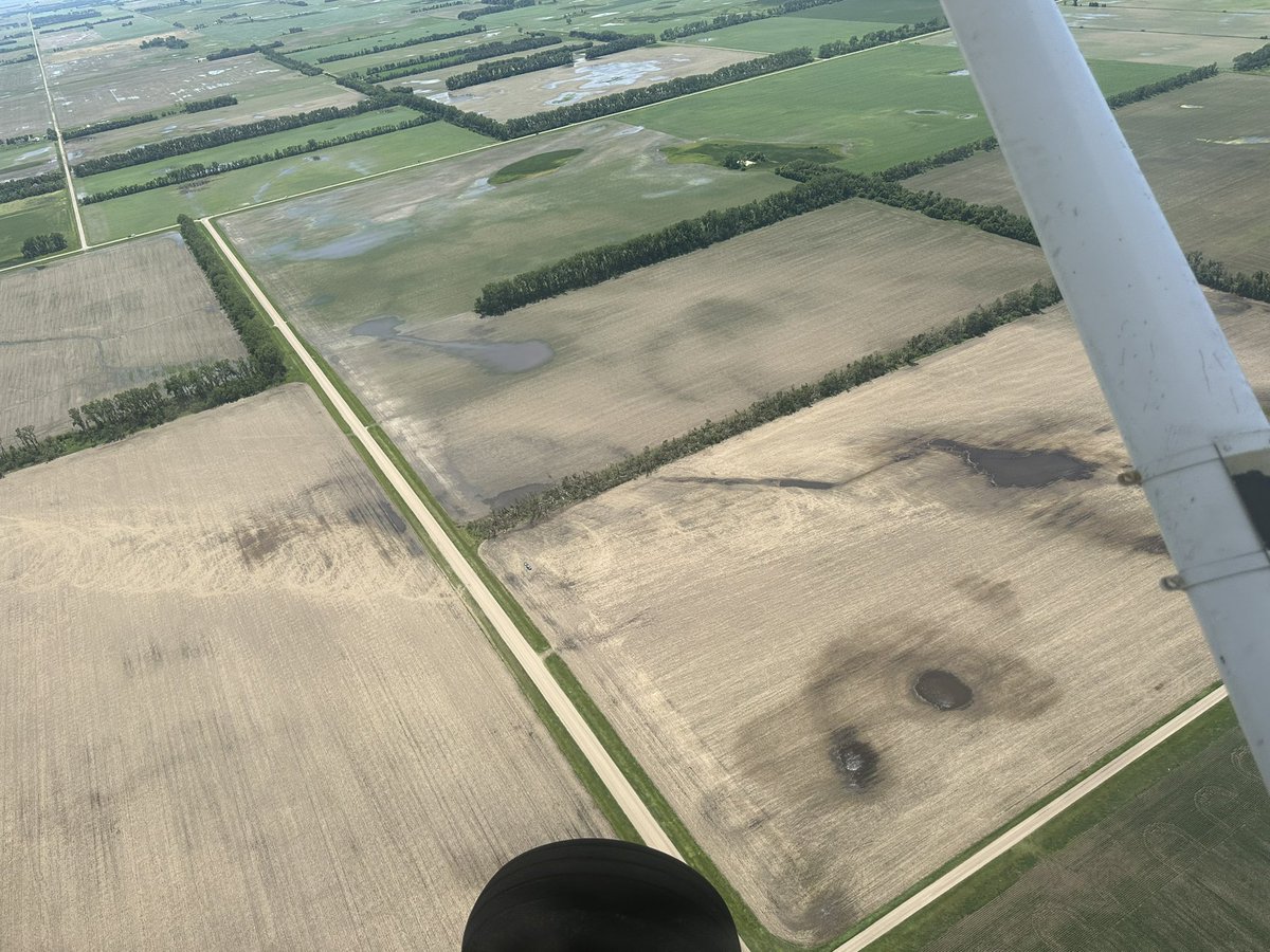 levikj's tweet image. Swirly ground scaring from the Enderlin Tornado taken today #NDWX