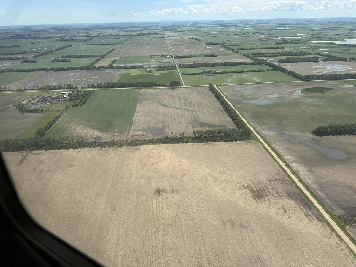 levikj's tweet image. Swirly ground scaring from the Enderlin Tornado taken today #NDWX