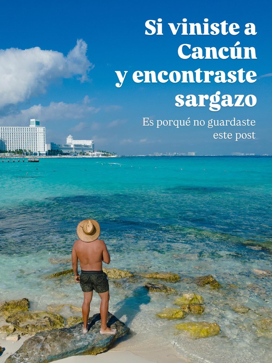PptoTravel tweet media