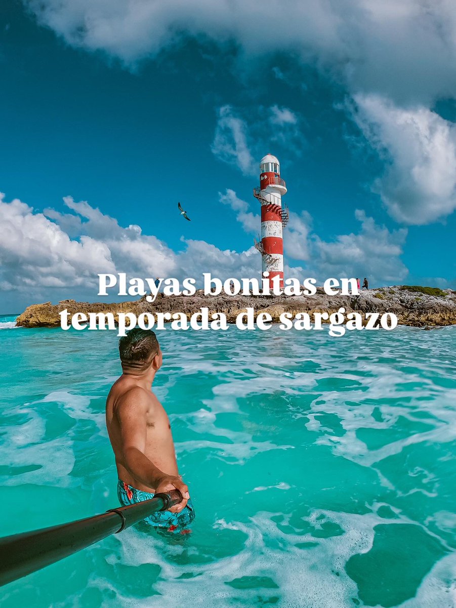 PptoTravel tweet media
