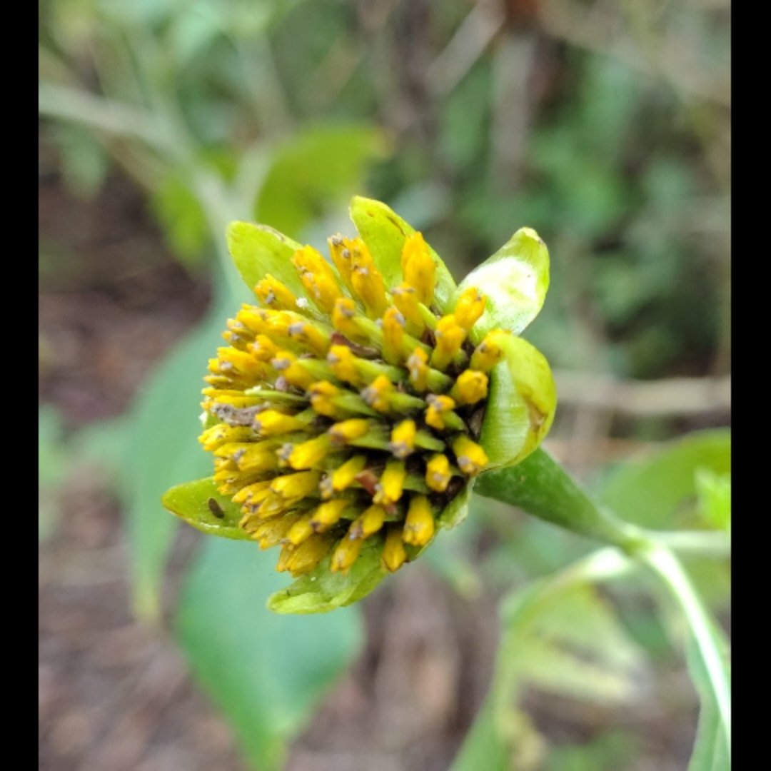 wareaiup y kaiabi (@wareaiupk) on Twitter photo 