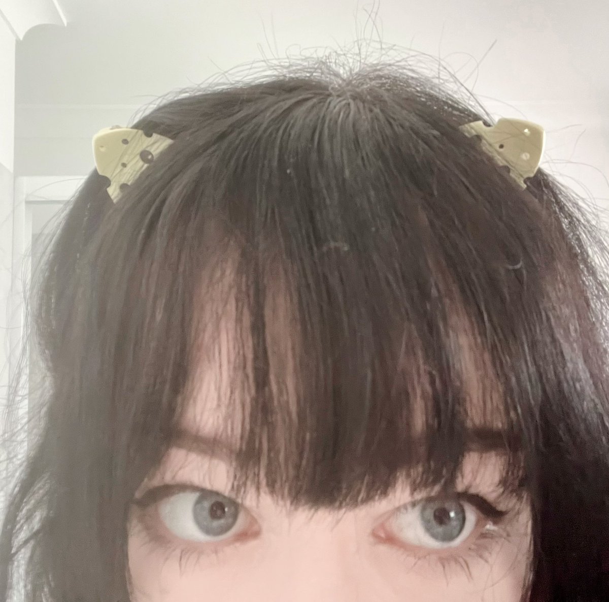 uw0ss's tweet image. i am the YOUNGEST cheese cat EVER