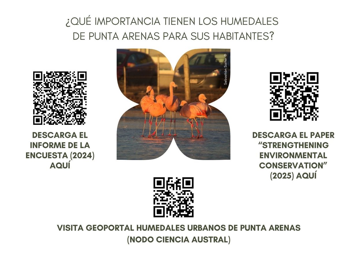 Humedales urbanos de Punta Arenas