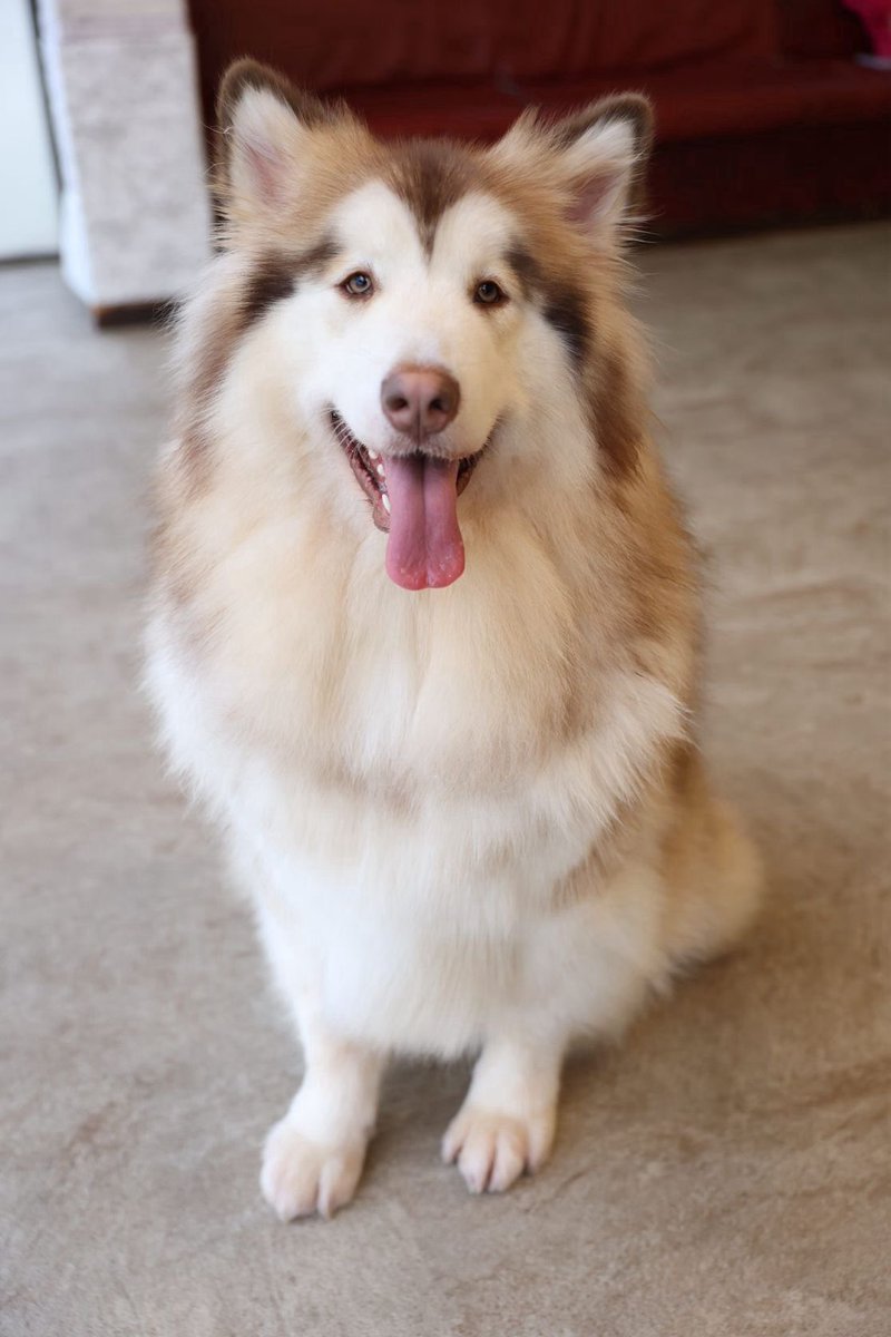 ←2ヶ月   2歳→