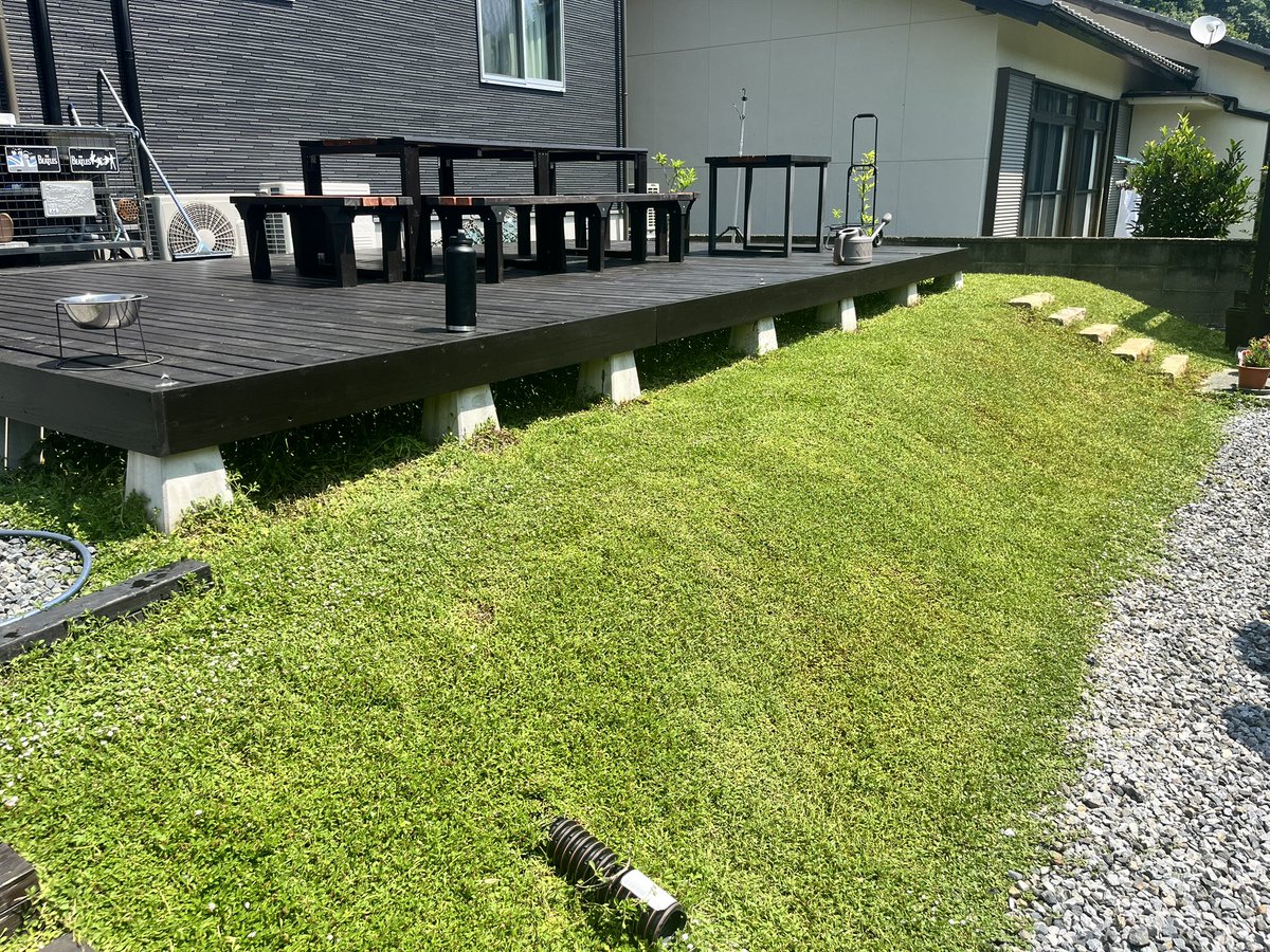 本日刈り込みデー
朝から2時間ほどで完了
芝用バリカンとブロアー最強過ぎて劇的びふぉーあふたー状態🤣
しかし現場監督の柴犬(でんこ)は暑さで早々に引っ込む

＃クラピア
＃柴犬