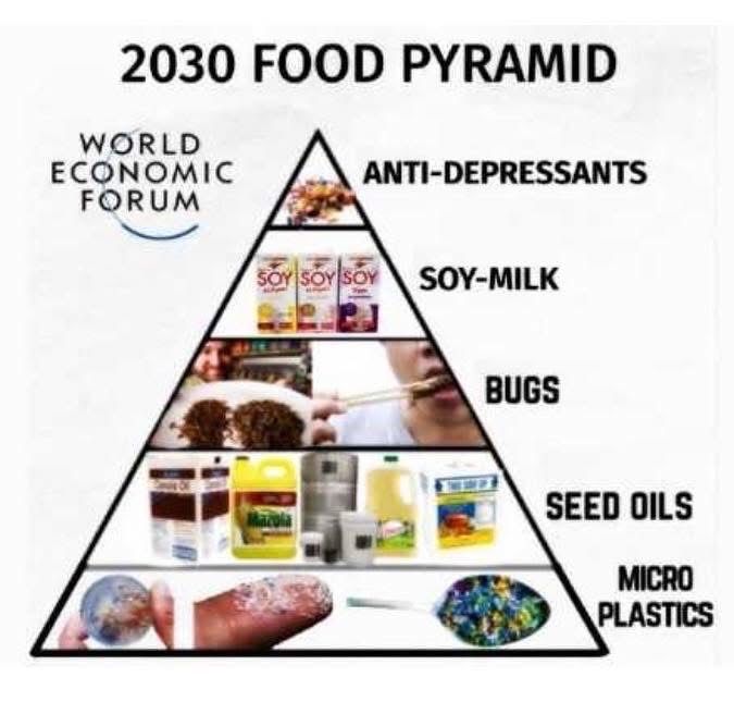 DavidWolfe's tweet image. 