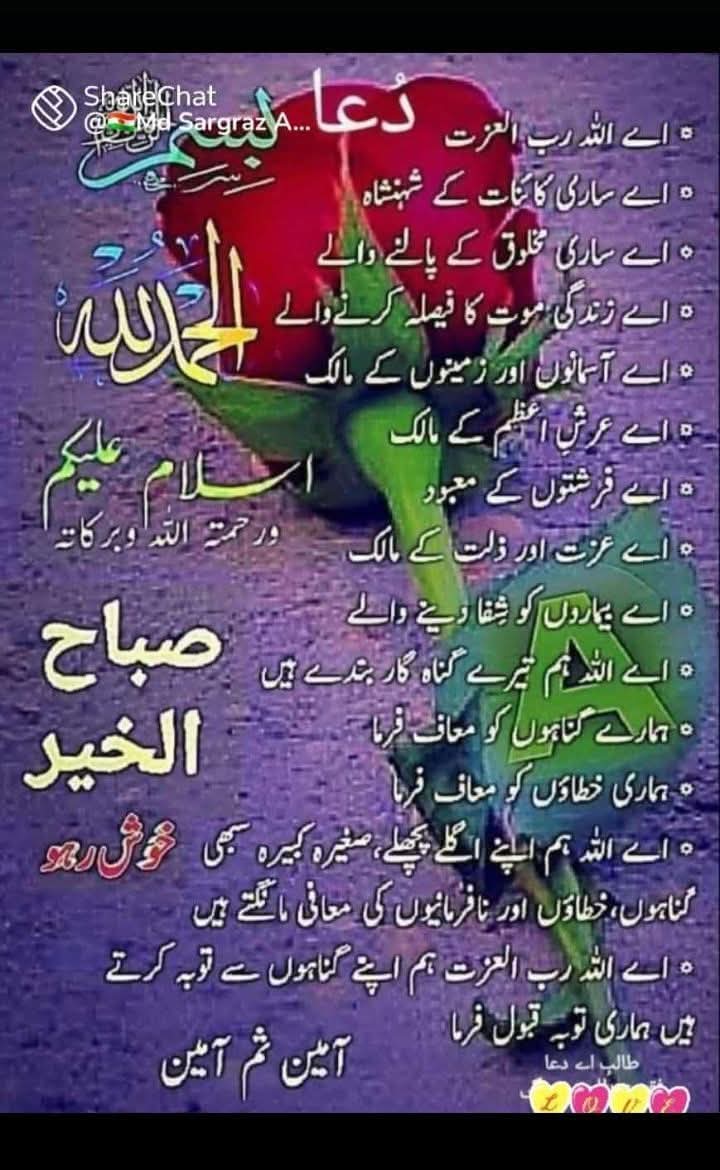 🌄 Alsalam 🌅 o 🌞 wàlekum 
🌄 Good 🌅 morning 🌄🌅🌞